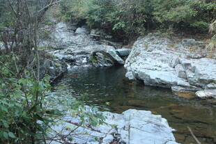 婺源山间溪流与岩石景观