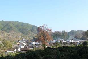婺源山村美景 宁静自然村落