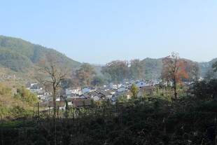 婺源山村风光远眺