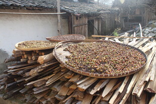 婺源农家院晾晒的干货与柴垛