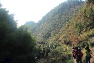 婺源山间徒步者的自然之旅