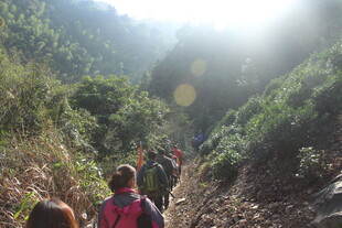 婺源山间徒步队伍穿行于小径