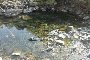 婺源山间清澈小水潭