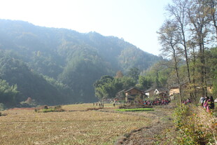 婺源秋日山间田野劳作景象
