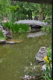 公园风景