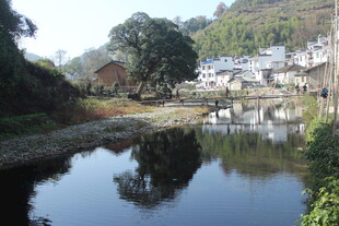 婺源宁静乡村小河畔美丽景致