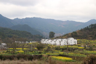 婺源山村春色 田园如画美景