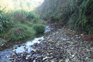 婺源山间碎石小溪自然景致