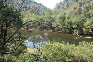 婺源山林间的静谧河流