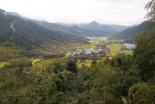 婺源山间村落 绿野环绕之景