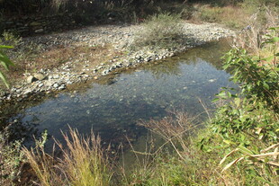 婺源山间清澈小水塘