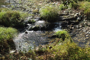 婺源山间小溪潺潺流淌