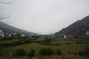 婺源山间绿野中的宁静村落