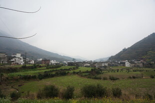 婺源山间绿野乡村景致