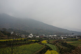 婺源雾中乡村田园美景