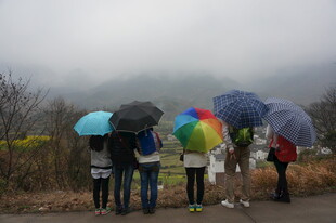 婺源雨中撑伞人群的户外景象