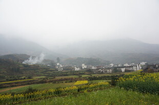 婺源雾中田园风光美景