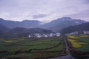 婺源山间田园村落美景