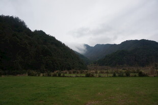 婺源山间绿野 云雾缭绕之景
