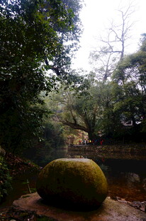 婺源林间巨石 静享自然野趣