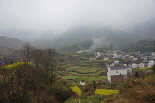 婺源雾中乡村田园美景