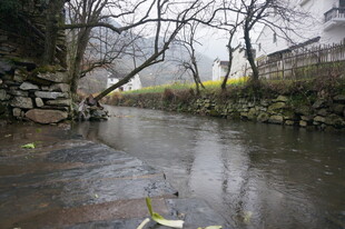 婺源乡村小河畔的静谧景致