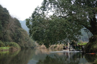 婺源宁静河畔的自然美景