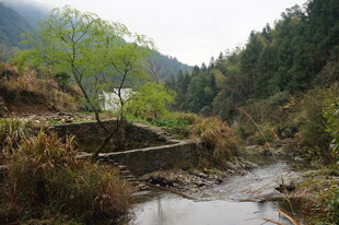 婺源山间溪流旁的静谧景致