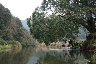 婺源宁静河畔的自然美景
