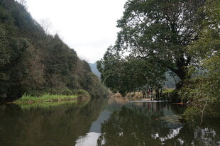 婺源宁静山水间的自然景致
