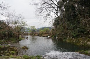 婺源宁静溪边景色
