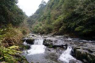 婺源山间溪流潺潺 自然美景