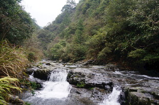 婺源山间溪流潺潺 绿意盎然