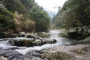 婺源山间溪流潺潺 自然美景