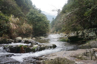 婺源山间溪流潺潺 绿意盎然