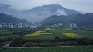 婺源山间田园春色美景如画