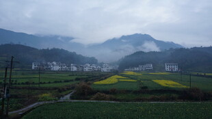 婺源山间田园春色美景如画