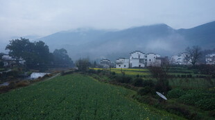 婺源乡村晨景 田野与远山朦胧美