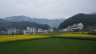 婺源田园风光中的村落与花海