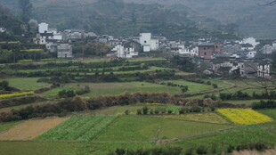 婺源田园山村美景