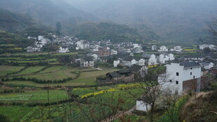婺源雾中乡村美景