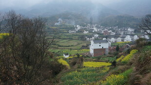 婺源山间村落春色