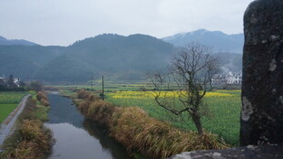 婺源乡村河畔田园风光美景