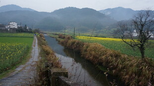 婺源乡村田园间的蜿蜒小河