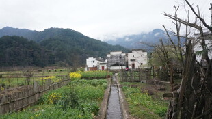 婺源乡村田园风光小路景色