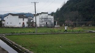 婺源乡村田园风光景色