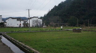 婺源乡村田园风光美景