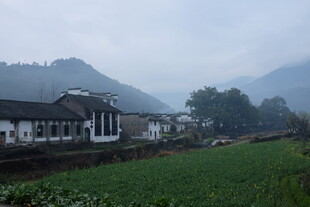 婺源乡村田园风光 宁静村落