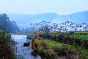 婺源乡村溪边晨景 静谧如画