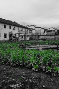 婺源乡村田园风光 农舍与菜地